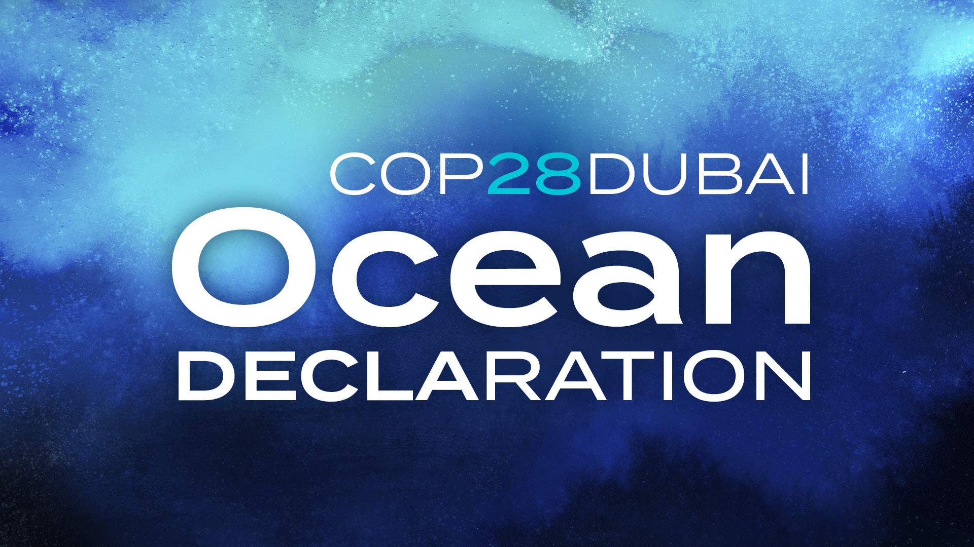 Propeller signs onto COP28 Dubai Ocean Declaration