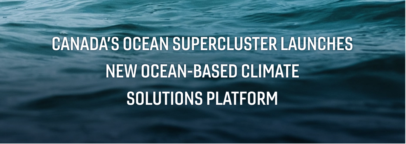 Advancing Markets for Ocean Climate Solutions